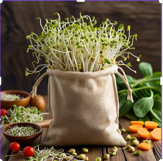 You CAN sprout Broccoli in&nbsp;bags